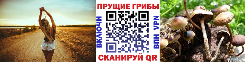 Псилоцибиновые грибы мицелий  гидра tor  Карабаново 
